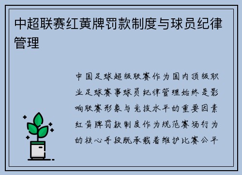 中超联赛红黄牌罚款制度与球员纪律管理