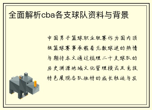 全面解析cba各支球队资料与背景