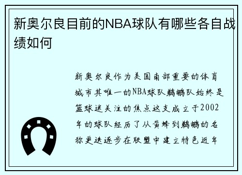 新奥尔良目前的NBA球队有哪些各自战绩如何